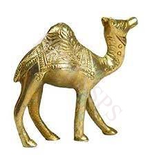 BRASS CAMEL 10KG