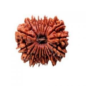 19 FACE RUDRAKSHA