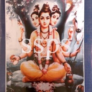 Sree GuruCharitra (Telugu) Book