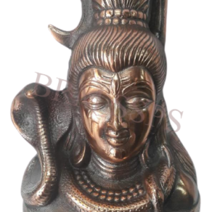 Shiva Head