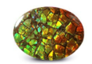 Ammolite