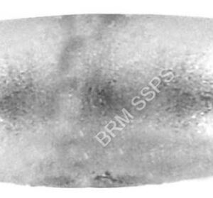 Para Shivling, Original Parad Mercury Shivling God Shiv Lingam,  spl  60 gms