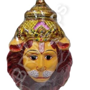 Narashima Swamy Face