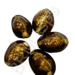 Black Gavalu (each)