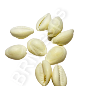 white Gavalu (each)