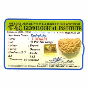 1 Mukhi Rudraksha (Original & Certified)