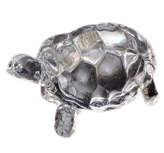 Crystal tortoise